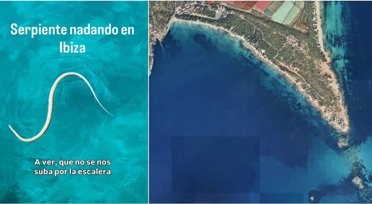https://statics.cedscdn.it/photos/MED_HIGH/2026/07/23/9668413_23145326_serpenti_ibiza_formentera.jpg