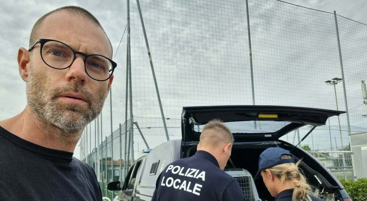 pap224 porta il figlio ai centri estivi sulla canna della bicicletta fermato e multato dai vigili la foto sul web e lo sfogo vergognoso da Ilgazzettino.it pap224 porta il figlio ai centri estivi sulla canna della bicicletta fermato e multato dai vigili la foto sul web e lo sfogo vergognoso