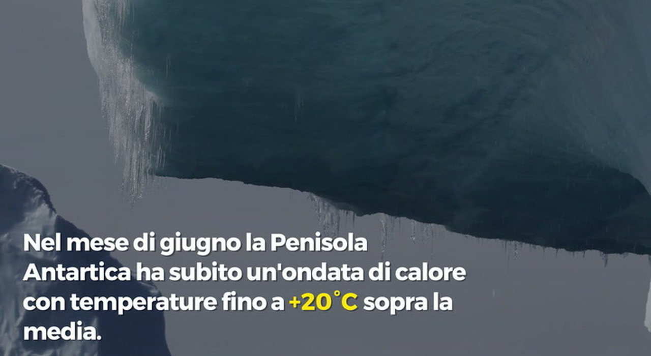 https://statics.cedscdn.it/photos/MED_HIGH/2026/07/24/9670228_poster.jpg