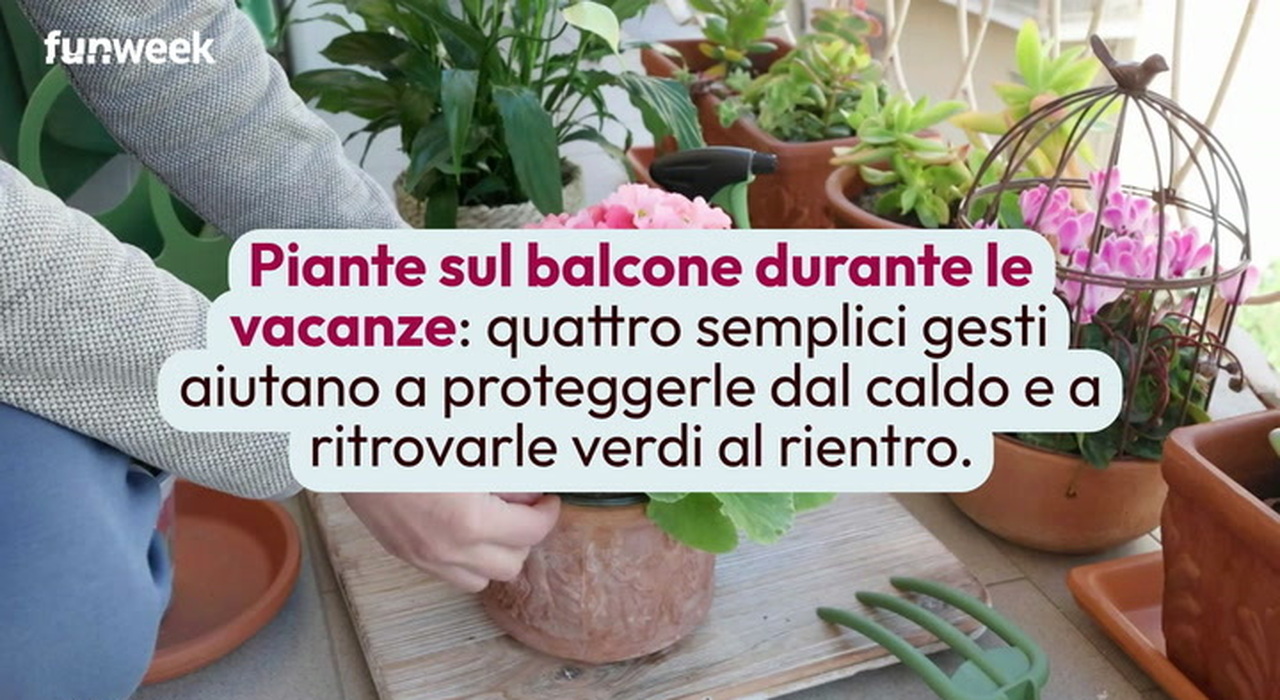 https://statics.cedscdn.it/photos/MED_HIGH/2026/07/24/9670252_poster.jpg