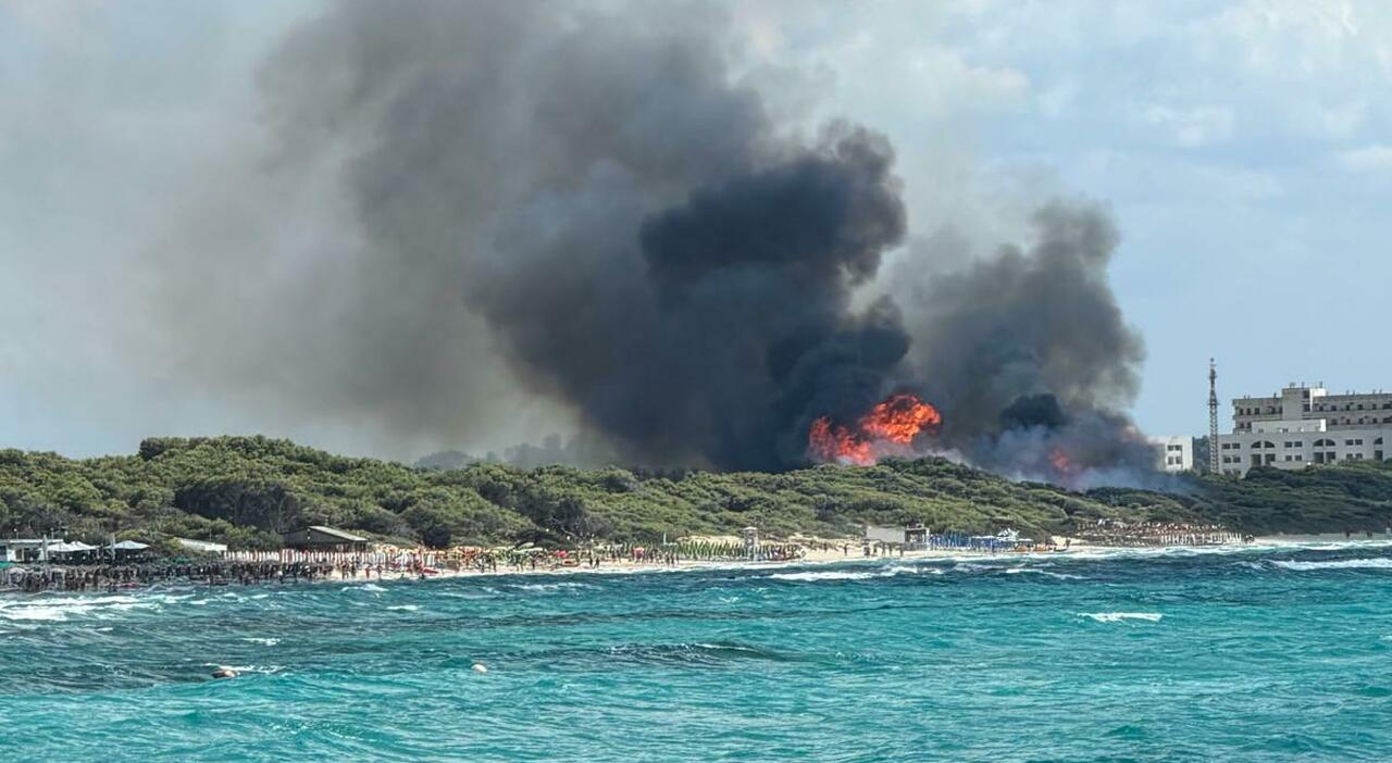 grosso incendio a rivabella fiamme alte paura per bagnanti e abitazioni da Quotidianodipuglia.it grosso incendio a rivabella fiamme alte paura per bagnanti e abitazioni