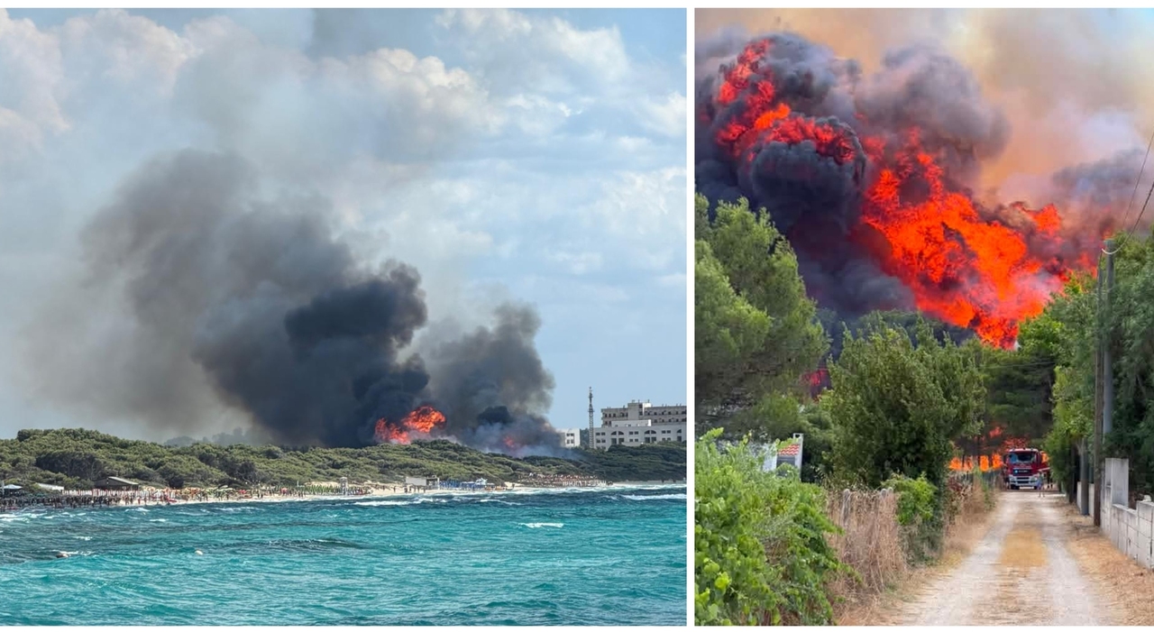 grosso incendio a rivabella fiamme alte paura per bagnanti residenti in fuga da Quotidianodipuglia.it grosso incendio a rivabella fiamme alte paura per bagnanti residenti in fuga