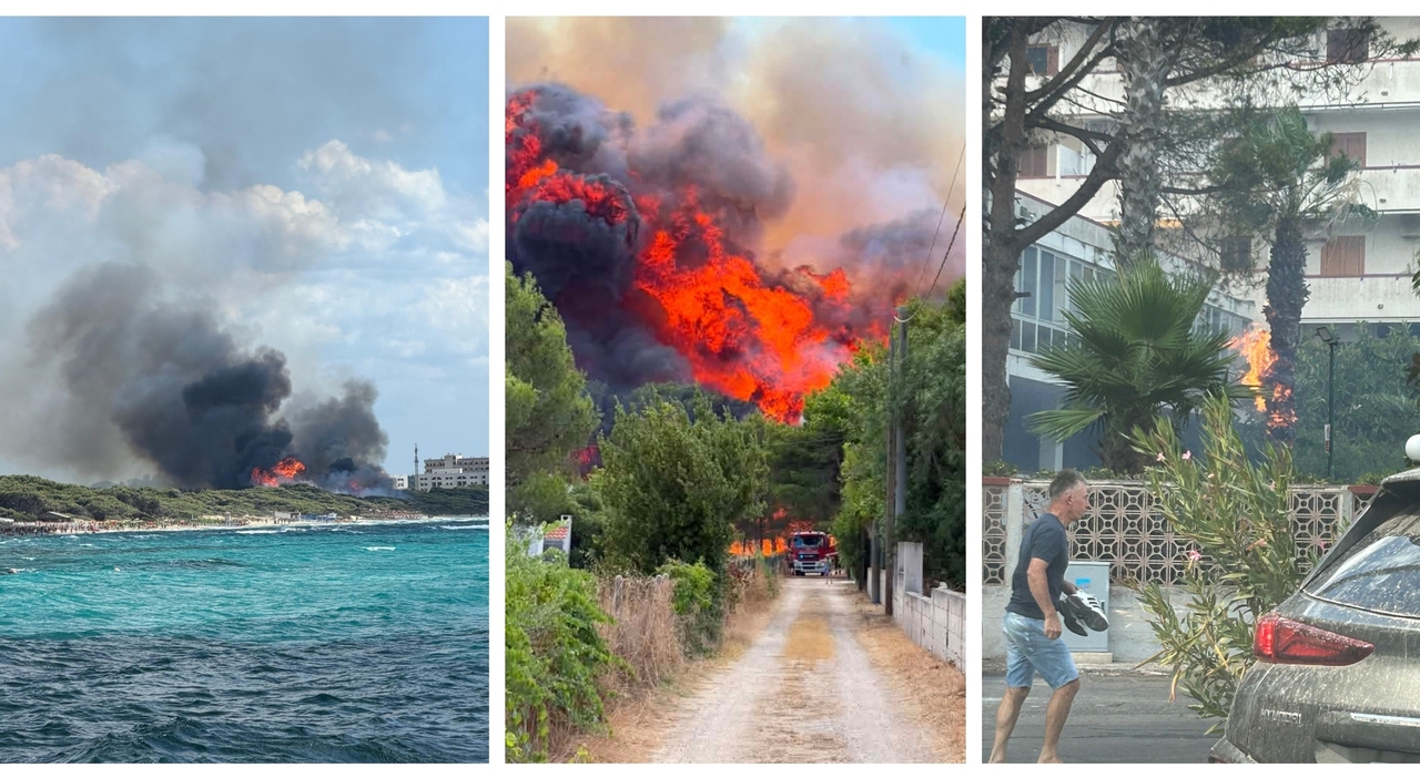 grosso incendio a rivabella fiamme alte paura per bagnanti residenti in fuga evacuata la zona da Quotidianodipuglia.it grosso incendio a rivabella fiamme alte paura per bagnanti residenti in fuga evacuata la zona