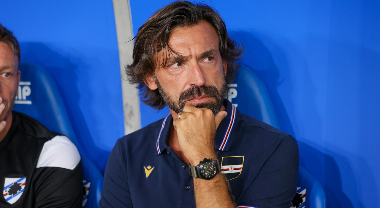 pirlo sar224 il nuovo ct della nazionale c 232 l accordo contratto di 4 anni a 15 milioni circa pi249 bonus da Ilmattino.it pirlo sar224 il nuovo ct della nazionale c 232 l accordo contratto di 4 anni a 15 milioni circa pi249 bonus