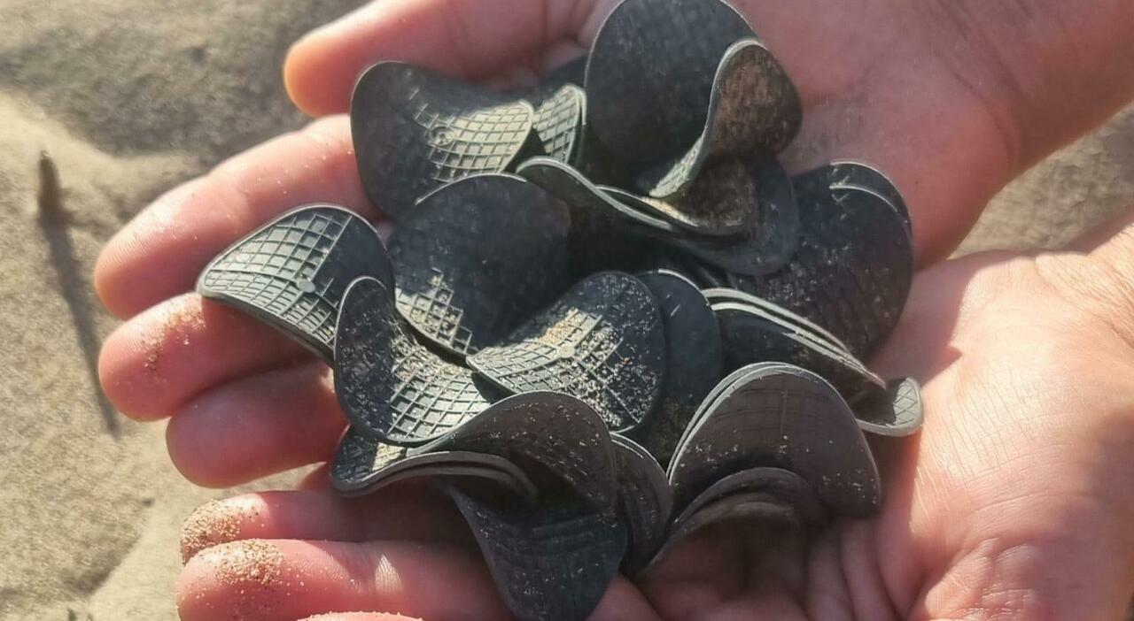 dischetti di plastica nera invadono le coste dell adriatico continua il mistero iniziato un anno fa sulle spiagge polesane da Ilgazzettino.it dischetti di plastica nera invadono le coste dell adriatico continua il mistero iniziato un anno fa sulle spiagge polesane