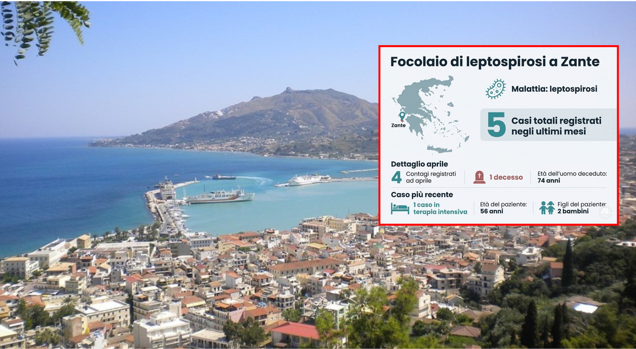 Leptospirosis Alert in Zante: Symptoms, Transmission, and Latest Cases