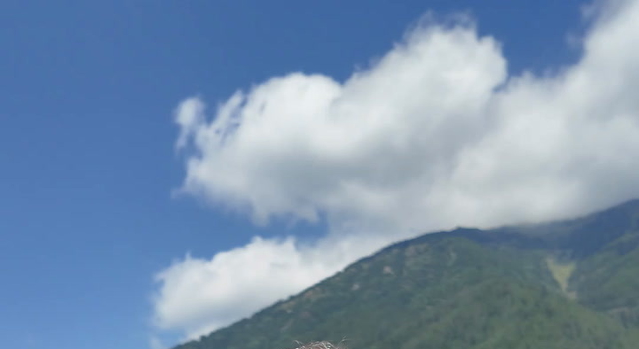 https://statics.cedscdn.it/photos/MED_HIGH/2026/07/25/9672195_poster.jpg
