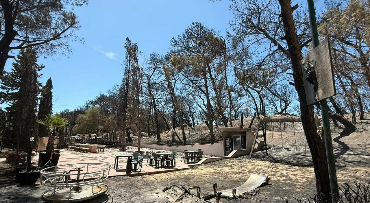 incendio a rivabella sei ettari in fumo fasano non lo permetteremo pi249 ora stato di calamit224 da Quotidianodipuglia.it incendio a rivabella sei ettari in fumo fasano non lo permetteremo pi249 ora stato di calamit224