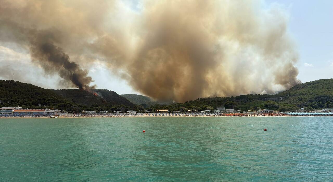 incendio sul gargano turisti evacuati con le barche della guardia costiera sfollati oltre mille villaggi il libeccio spinge le fiamme fino al basso molise da Ilmessaggero.it incendio sul gargano turisti evacuati con le barche della guardia costiera sfollati oltre mille villaggi il libeccio spinge le fiamme fino al basso molise