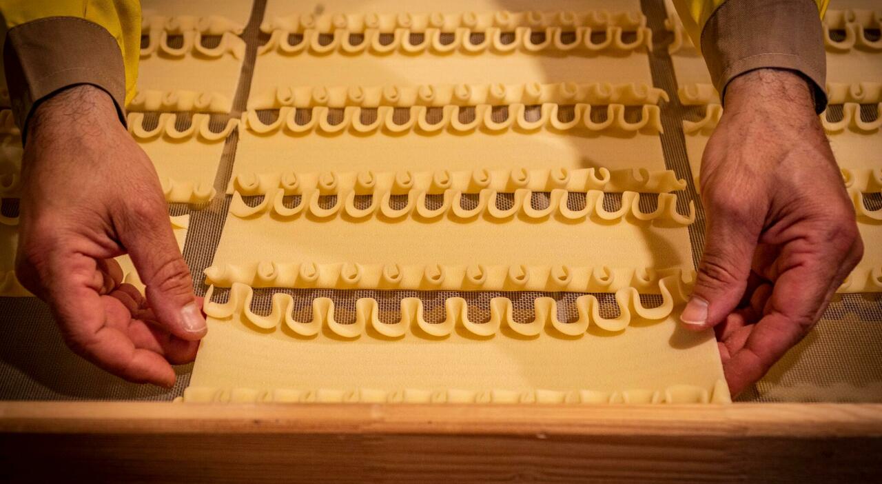 olio e grano dop e fondi il piano del ministero per blindare loro del sud da Ilmattino.it olio e grano dop e fondi il piano del ministero per blindare loro del sud