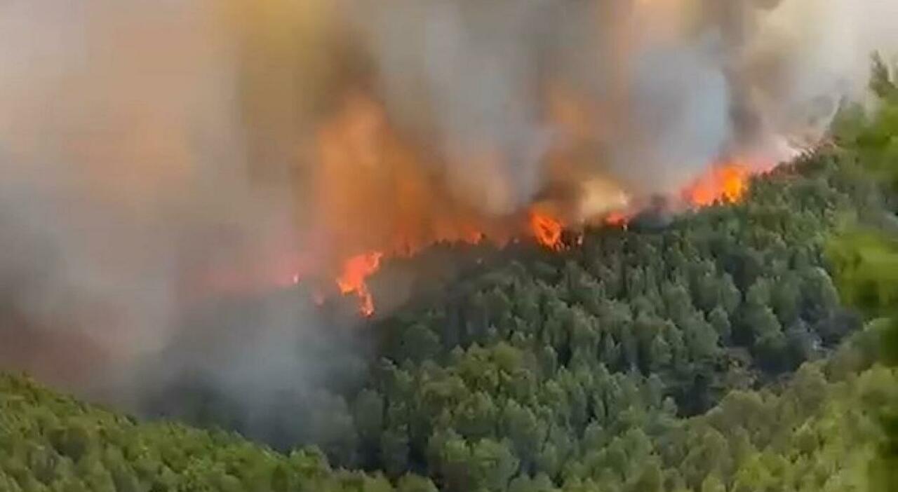 incendi sul gargano tra san marco in lamis e vieste evacuate case ed agriturismo da Quotidianodipuglia.it incendi sul gargano tra san marco in lamis e vieste evacuate case ed agriturismo