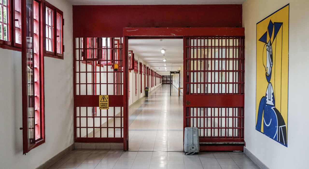 stanza dell amore al carcere due palazzi 9 mesi dopo ecco la prima gravidanza da Ilgazzettino.it stanza dell amore al carcere due palazzi 9 mesi dopo ecco la prima gravidanza