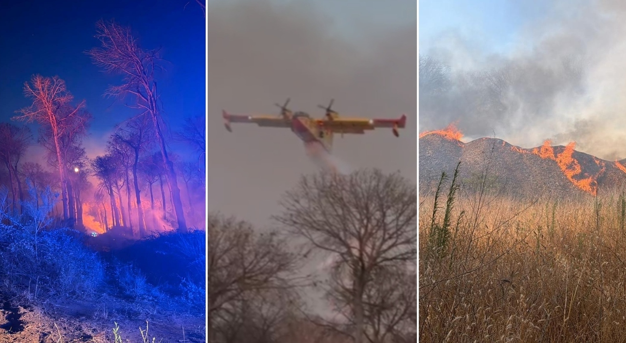 https://statics.cedscdn.it/photos/MED_HIGH/2026/08/01/9684719_01085016_incendio_pineta_nettuno.jpg