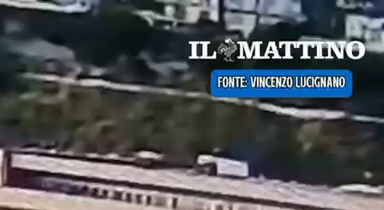 https://statics.cedscdn.it/photos/MED_HIGH/2026/08/01/9684948_poster.jpg