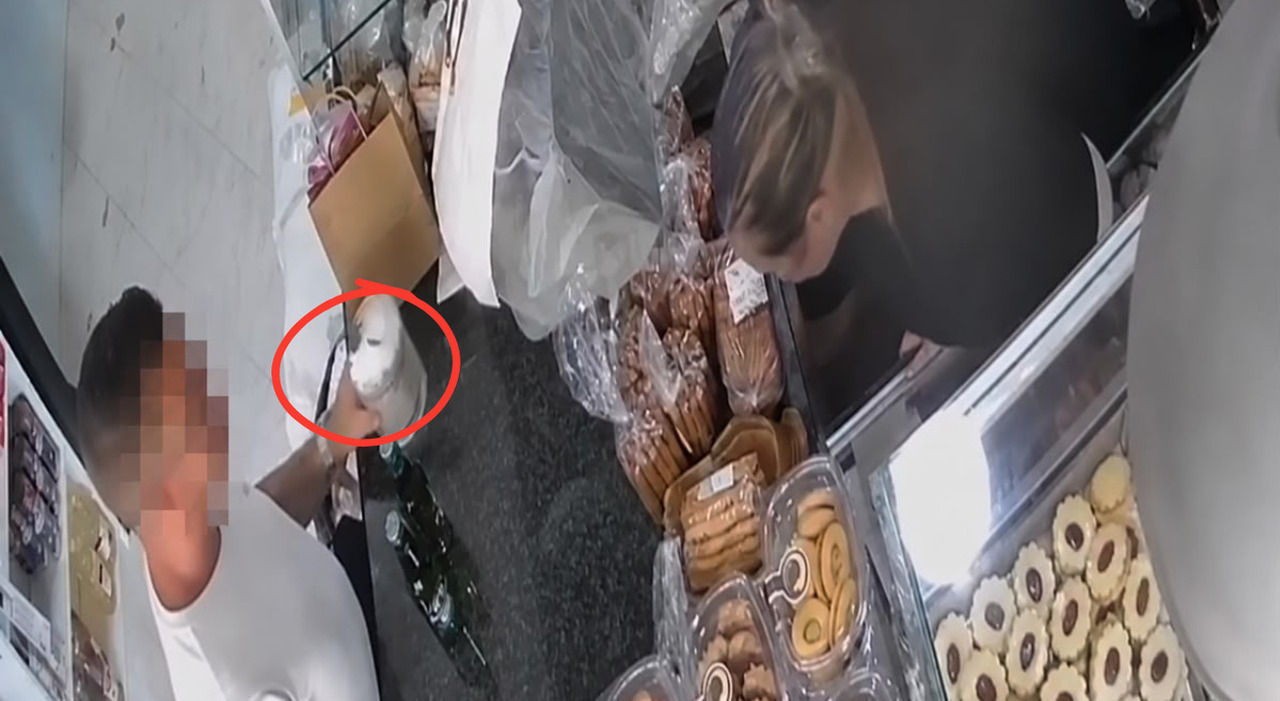 Un uomo ruba il salvadanaio per i cani randagi, il furto ripreso dalle telecamere
