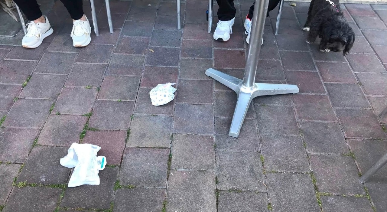 bar ostaggio di una bambina di due anni i titolari lancia spazzatura dalla terrazza che finisce sui clienti siamo esasperati da Ilgazzettino.it bar ostaggio di una bambina di due anni i titolari lancia spazzatura dalla terrazza che finisce sui clienti siamo esasperati