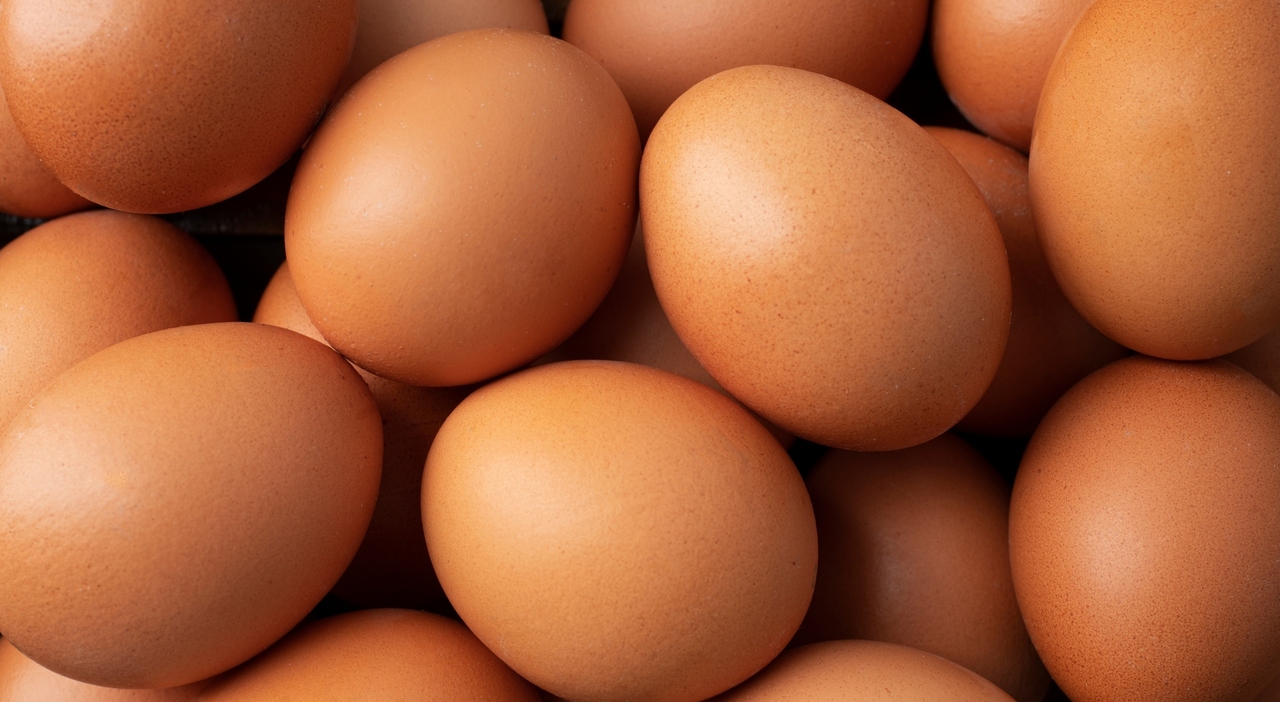 https://statics.cedscdn.it/photos/MED_HIGH/2026/08/04/9689909_04124638_uova_richiamo_salmonella.jpg
