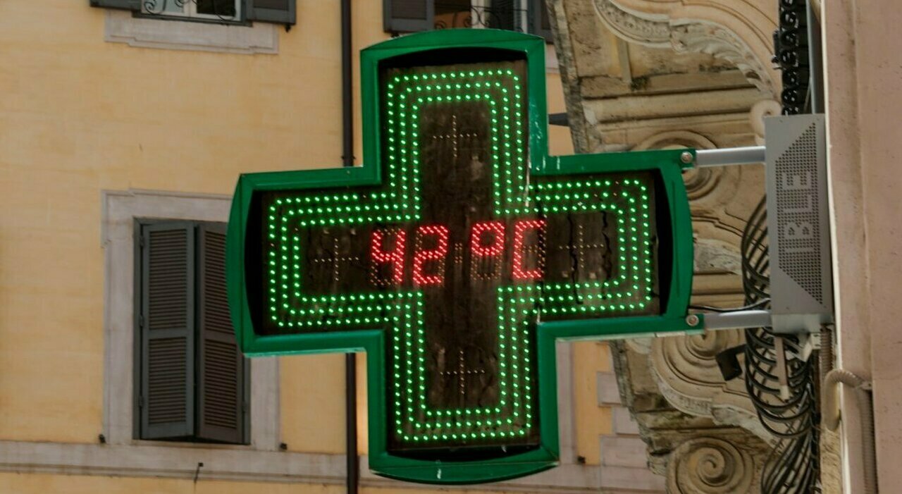 https://statics.cedscdn.it/photos/MED_HIGH/2026/08/04/9690263_04182056_caldo_killer_morta_campo_valdagno.jpg