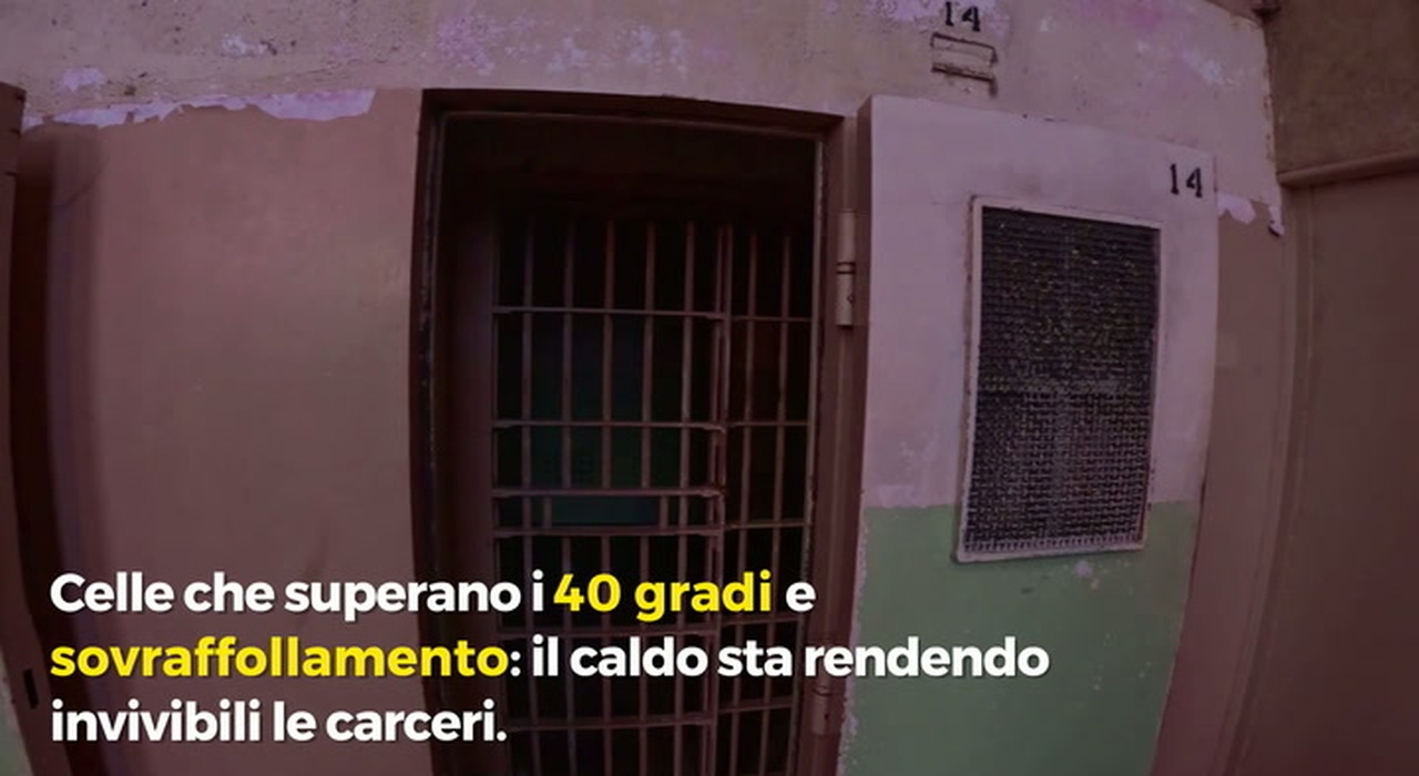 https://statics.cedscdn.it/photos/MED_HIGH/2026/08/05/9691778_poster.jpg