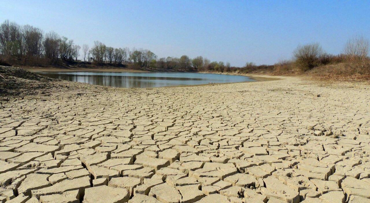 Delta del Po, Porto Tolle senza acqua per l'irrigazione, siccità e raccolti a rischio