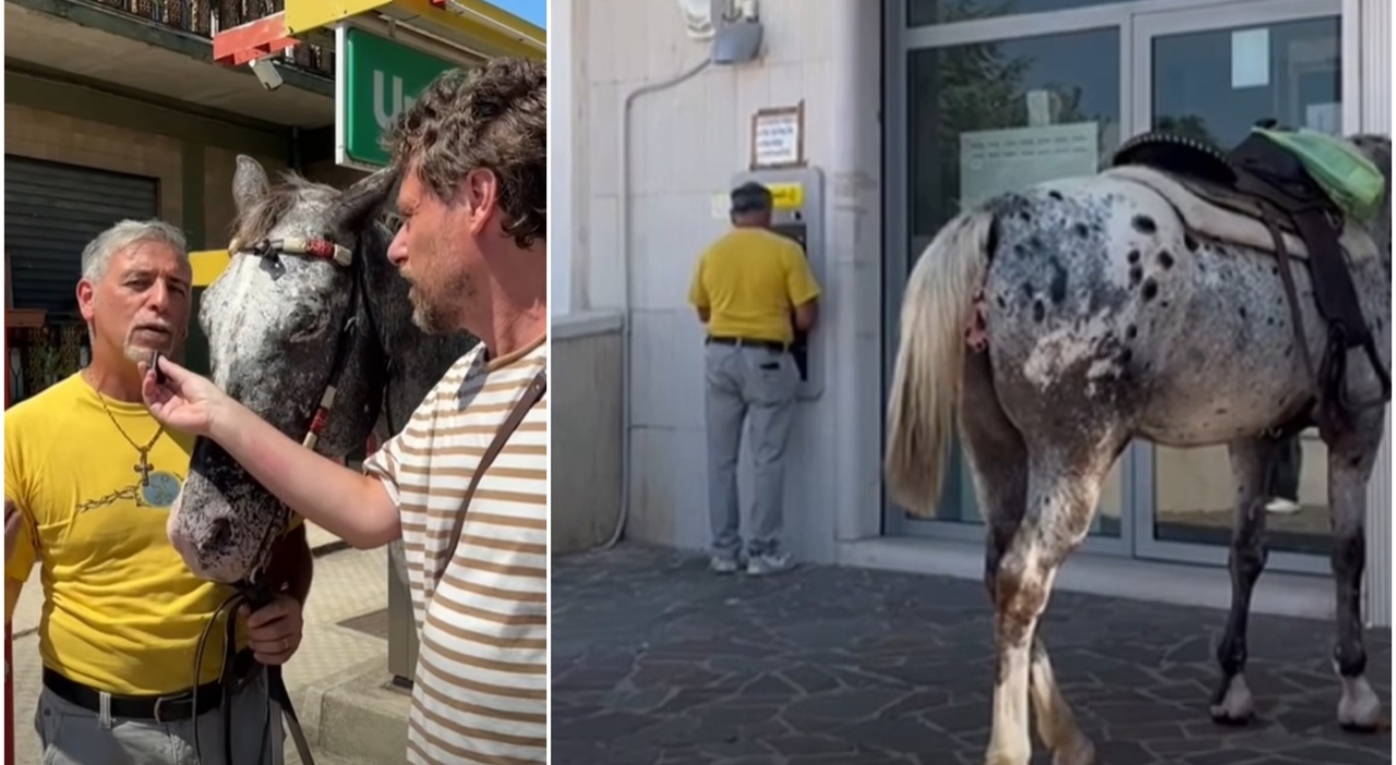https://statics.cedscdn.it/photos/MED_HIGH/2026/08/07/9694957_12090504_benzina_cavallo.jpg