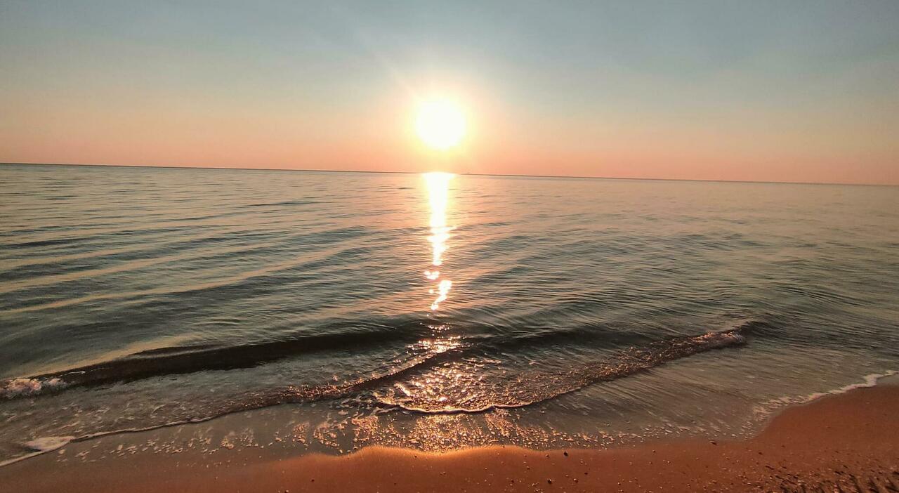 https://statics.cedscdn.it/photos/MED_HIGH/2026/08/07/9695787_07130715_onecms_1sqmmf60w4n0bnm5or5_15iz0gd7tvk.jpg