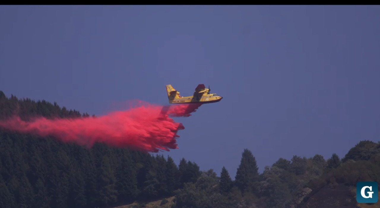 incendio a miane arriva anche il canadair dopo il rifornimento a jesolo perch233 il lago di santa croce ha poca acqua il bosco brucia da 22 ore da Ilgazzettino.it incendio a miane arriva anche il canadair dopo il rifornimento a jesolo perch233 il lago di santa croce ha poca acqua il bosco brucia da 22 ore