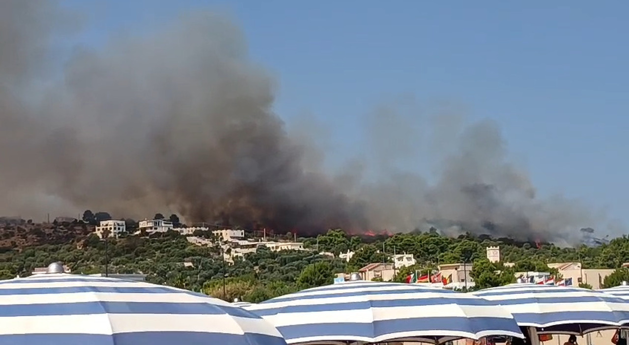 un altro incendio sul gargano evacuate alcune famiglie torna l incubo da Quotidianodipuglia.it un altro incendio sul gargano evacuate alcune famiglie torna l incubo