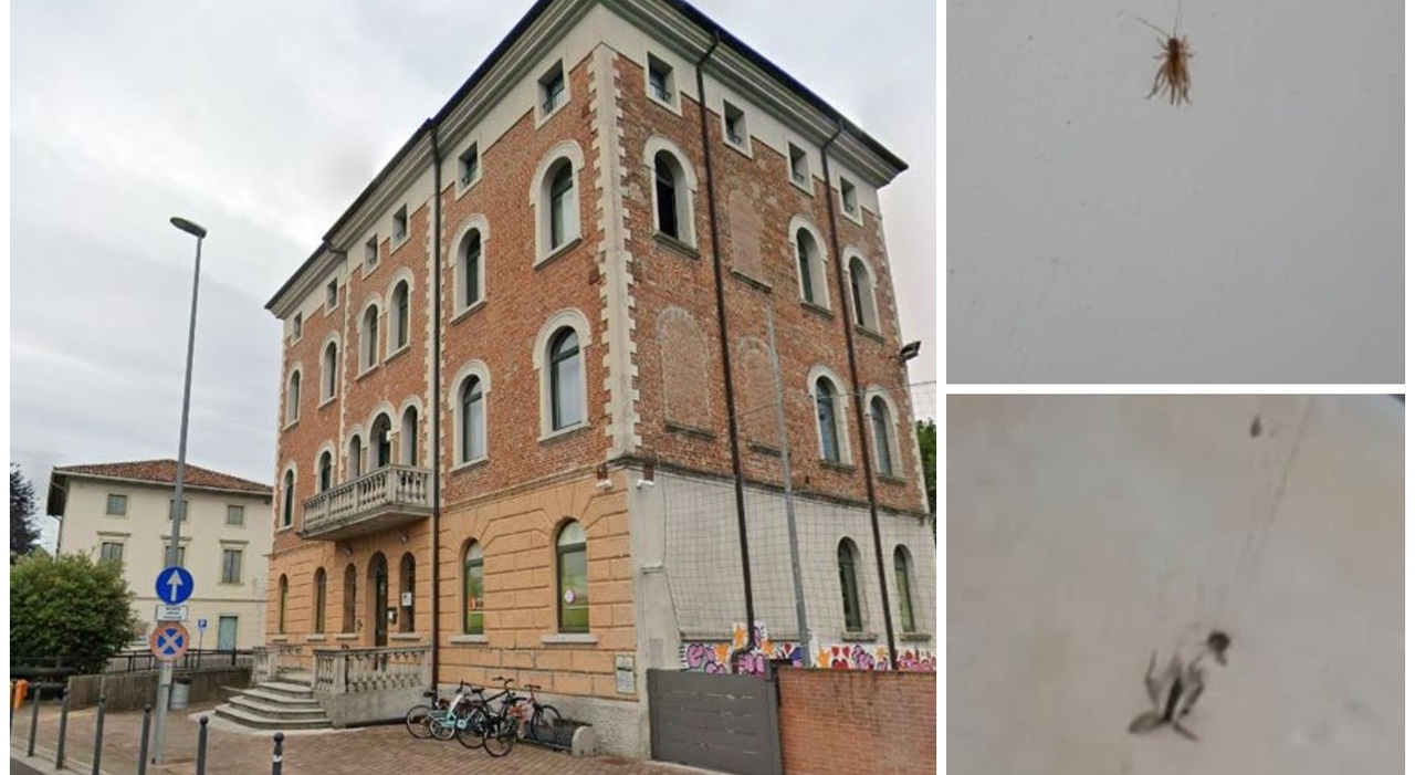 Un uomo di 46 anni vive in un ripostiglio di 4 metri quadrati, con un affitto di 200 euro al mese