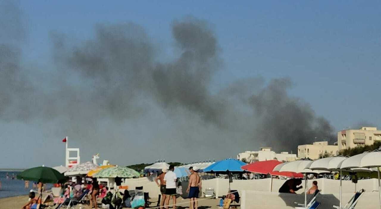 incendio sulla costa fiamme nella pineta e paura in spiaggia in azione due canadair e un elicottero da Quotidianodipuglia.it incendio sulla costa fiamme nella pineta e paura in spiaggia in azione due canadair e un elicottero