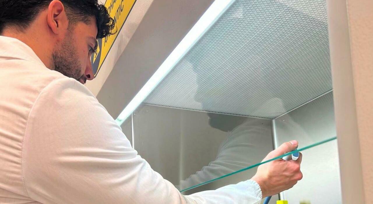 panaros gli scarti agricoli diventano integratori da Quotidianodipuglia.it panaros gli scarti agricoli diventano integratori