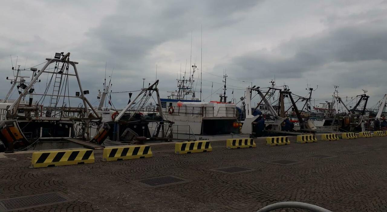 sulla costa 45 giorni senza una frittura allasta sogliole battute a quasi 29 euro 232 iniziato il fermo pesca quanto durer224 da Corriereadriatico.it sulla costa 45 giorni senza una frittura allasta sogliole battute a quasi 29 euro 232 iniziato il fermo pesca quanto durer224