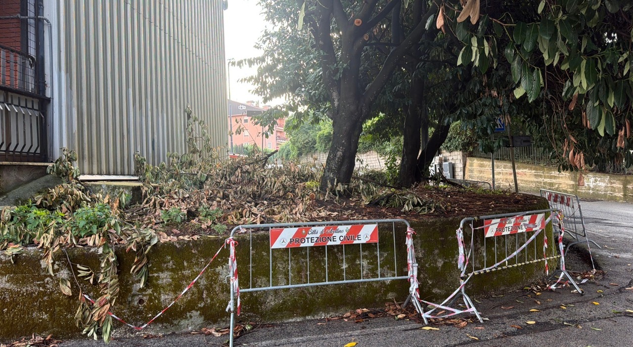 maltempo in campania frana nell avellinese e alberi caduti abitazioni isolate da Ilmattino.it maltempo in campania frana nell avellinese e alberi caduti abitazioni isolate