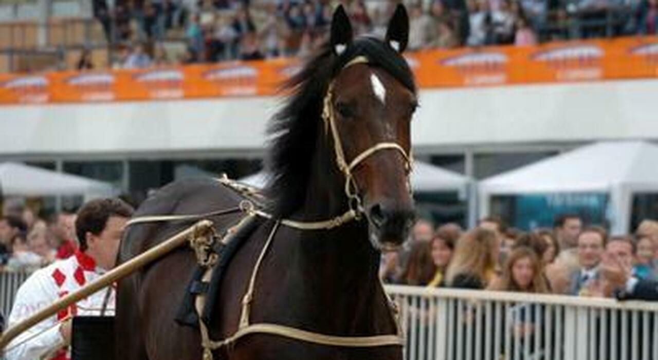 https://statics.cedscdn.it/photos/MED_HIGH/2026/08/18/9713009_18134645_varenne_cavallo_1.jpg