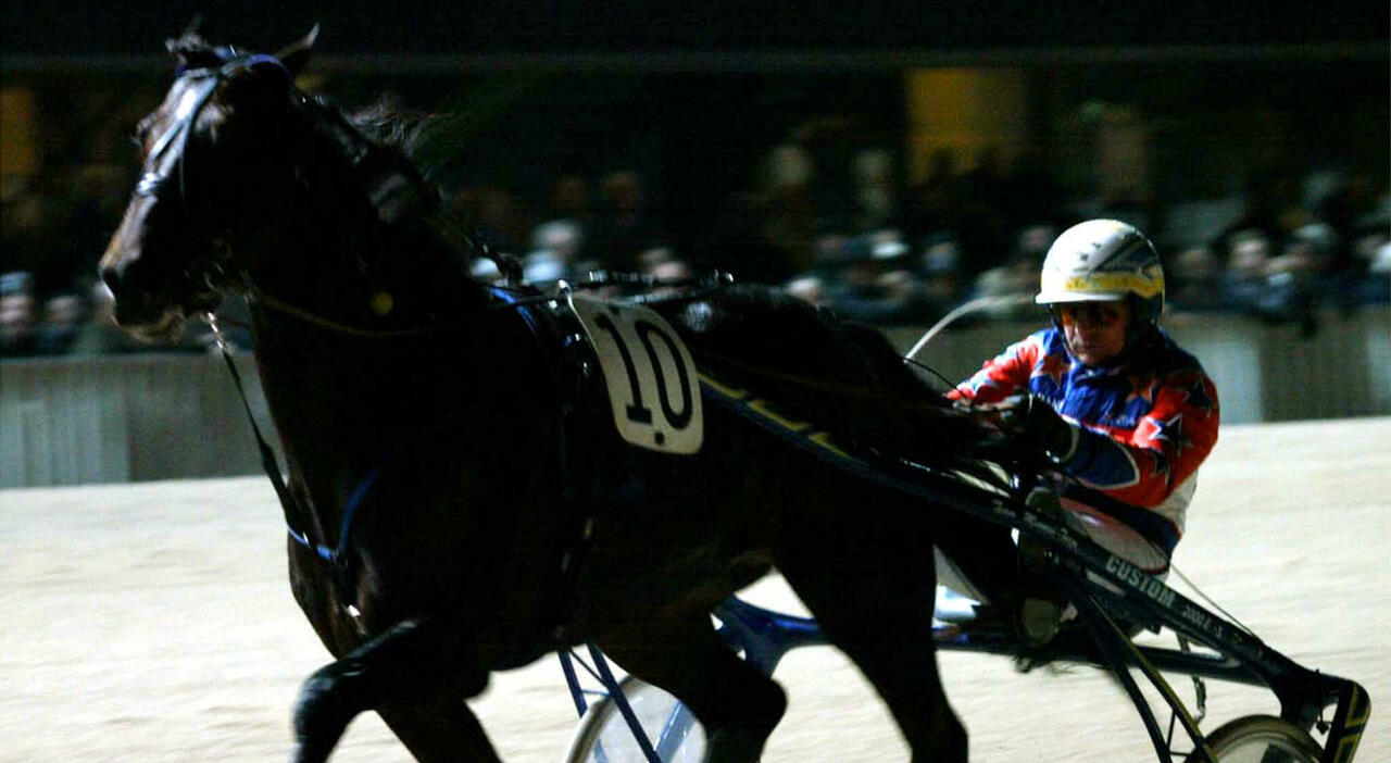 https://statics.cedscdn.it/photos/MED_HIGH/2026/08/18/9713125_18165340_varenne_come_e_morto_cavallo_allevamento_oggi.jpg