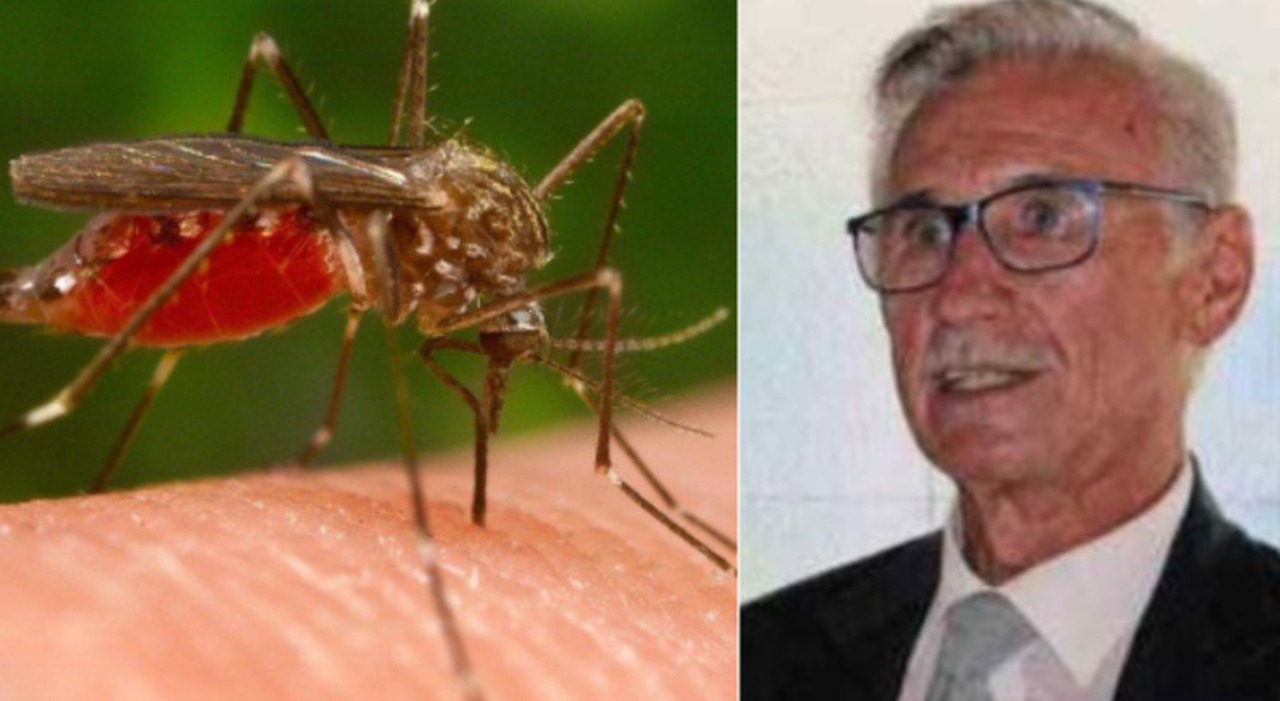 Uomo di 84 anni muore di West Nile, famiglia in lutto