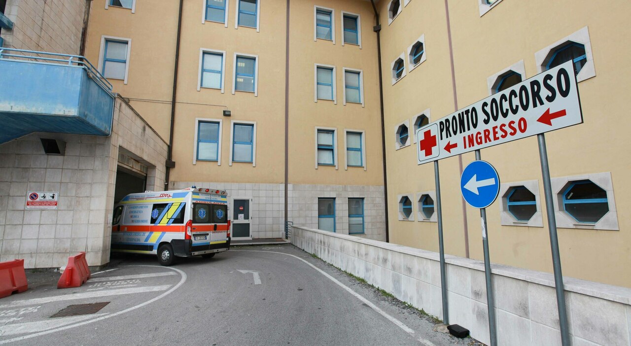 allevatore incornato da un toro nell azienda agricola l uomo colpito all addome e scaraventato a terra 60enne trasportato in ospedale da Ilgazzettino.it allevatore incornato da un toro nell azienda agricola l uomo colpito all addome e scaraventato a terra 60enne trasportato in ospedale