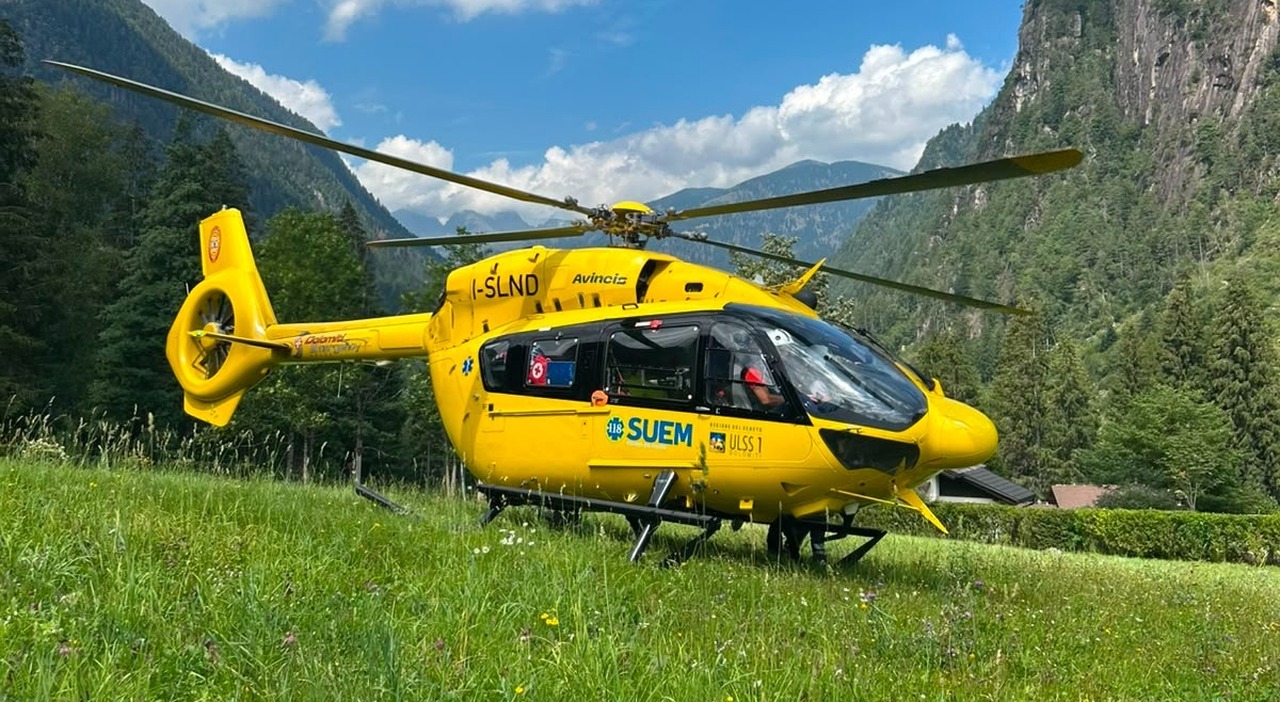 bambina di 6 anni in vacanza con i genitori colpita al volto dal calcio di un cavallo ricoverata in terapia intensiva da Ilgazzettino.it bambina di 6 anni in vacanza con i genitori colpita al volto dal calcio di un cavallo ricoverata in terapia intensiva