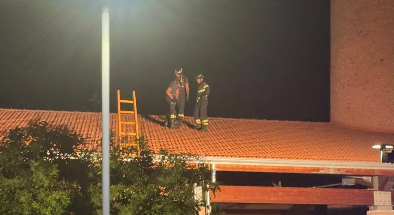 lite tra giovani finisce nel sangue al parco di agropoli accoltellato un ragazzo da Ilmattino.it lite tra giovani finisce nel sangue al parco di agropoli accoltellato un ragazzo