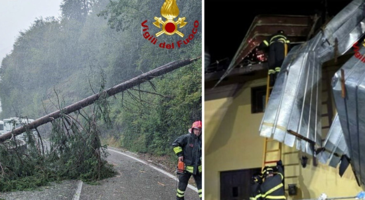 alberi spazzati via dalla bufera pali abbattuti e tetti divelti i danni del maltempo nel vicentino e nel bellunese allerta meteo per temporali da Ilgazzettino.it alberi spazzati via dalla bufera pali abbattuti e tetti divelti i danni del maltempo nel vicentino e nel bellunese allerta meteo per temporali