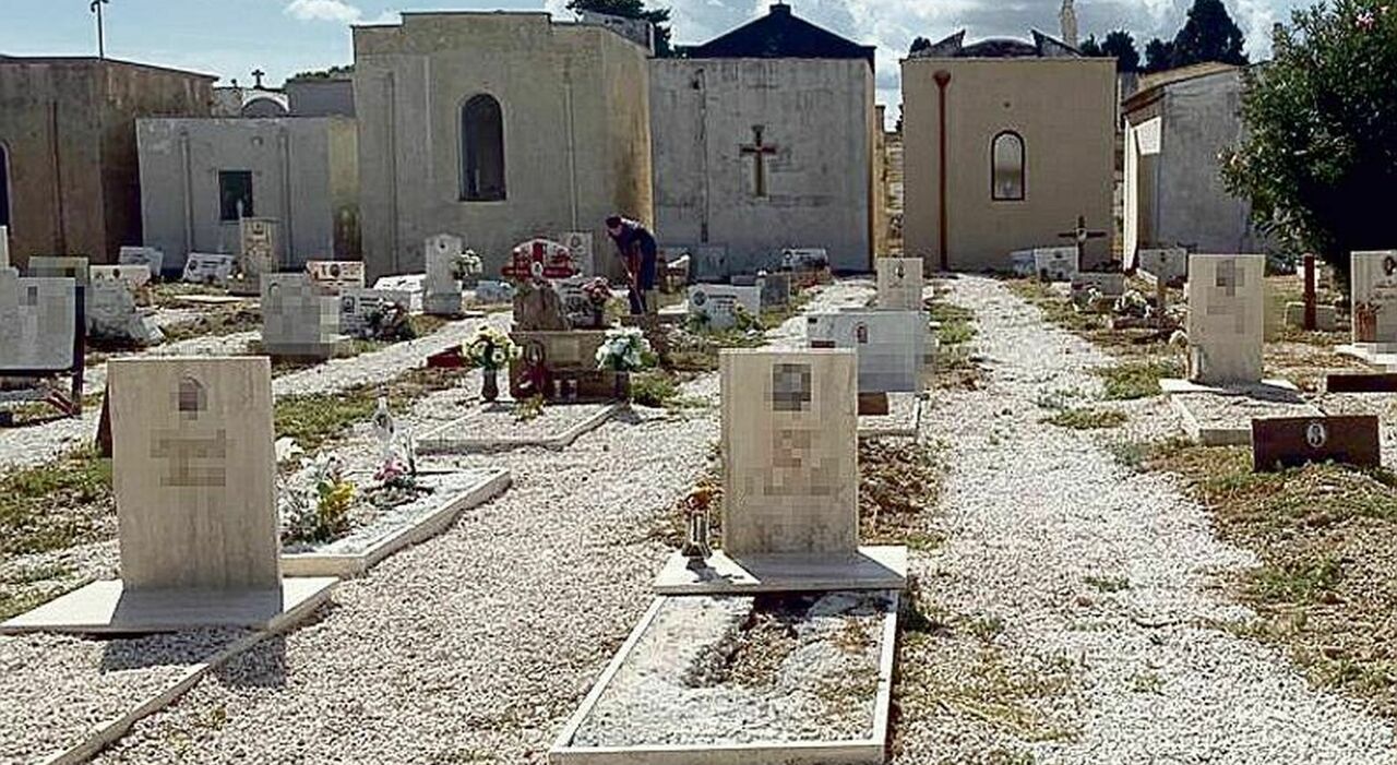 emergenza loculi via ai lavori nel cimitero entro il 15 settembre saranno pronti a fine ottobre da Quotidianodipuglia.it emergenza loculi via ai lavori nel cimitero entro il 15 settembre saranno pronti a fine ottobre