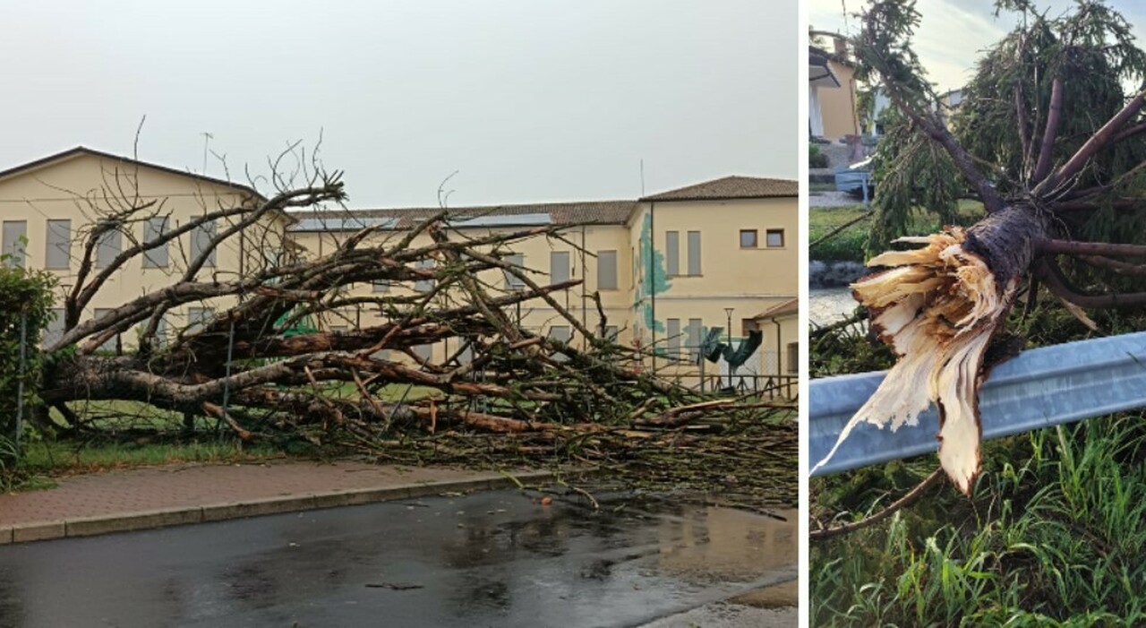 maltempo allagamenti grandine e vento a 128 km h in friuli 135 chiamate ai vigili del fuoco blackout nel rodigino da Ilgazzettino.it maltempo allagamenti grandine e vento a 128 km h in friuli 135 chiamate ai vigili del fuoco blackout nel rodigino