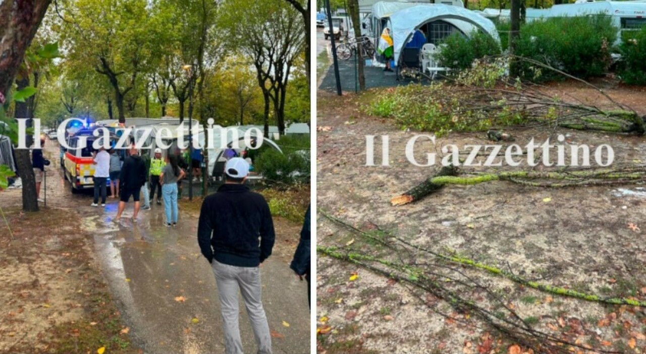 maltempo sul litorale albero crolla su una tenda in campeggio un ferito da Ilgazzettino.it maltempo sul litorale albero crolla su una tenda in campeggio un ferito