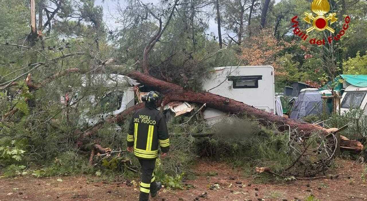 maltempo sul litorale alberi crollano nei campeggi travolgendo tende e camper feriti una donna e un bambino da Ilgazzettino.it maltempo sul litorale alberi crollano nei campeggi travolgendo tende e camper feriti una donna e un bambino