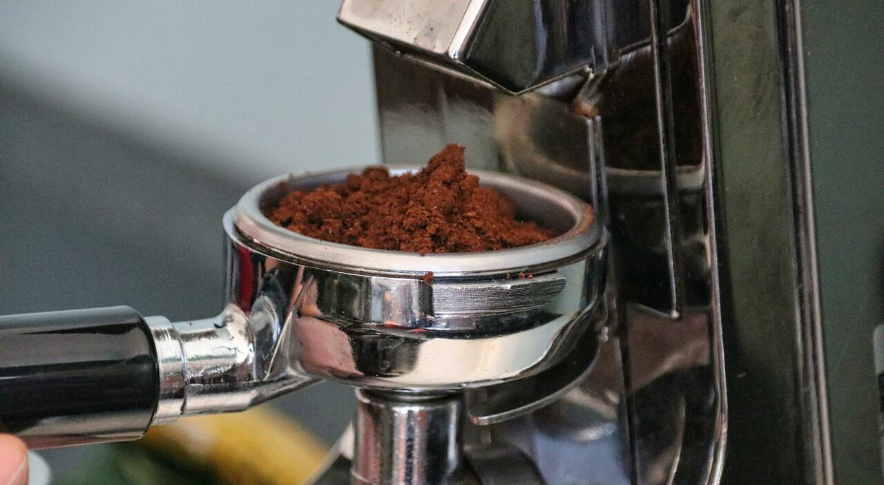 https://statics.cedscdn.it/photos/MED_HIGH/2026/08/22/9719779_22085933_planet_fox_coffee_6126839.jpg