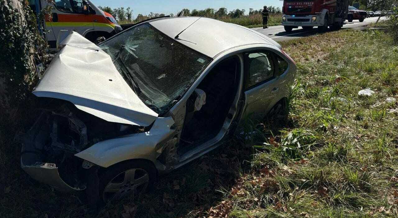 auto contro albero morta una bambina di 11 anni in condizioni disperate la sorellina di 8 ferito anche il pap224 alla guida da Ilgazzettino.it auto contro albero morta una bambina di 11 anni in condizioni disperate la sorellina di 8 ferito anche il pap224 alla guida