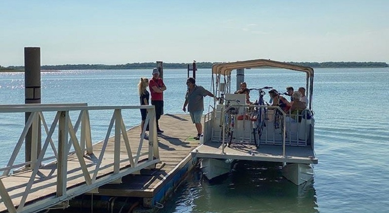 buttato in mare dai maranza mentre pesca al pontile ferito un ottantenne non so come ho fatto a riemergere da Ilgazzettino.it buttato in mare dai maranza mentre pesca al pontile ferito un ottantenne non so come ho fatto a riemergere