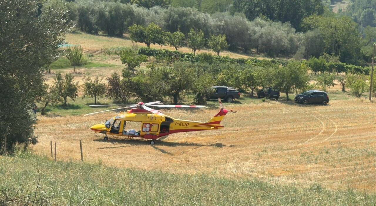 paura alla festa di compleanno a maltignano cancello di ferro si sgancia e travolge un bimbo di 6 anni 232 grave da Corriereadriatico.it paura alla festa di compleanno a maltignano cancello di ferro si sgancia e travolge un bimbo di 6 anni 232 grave