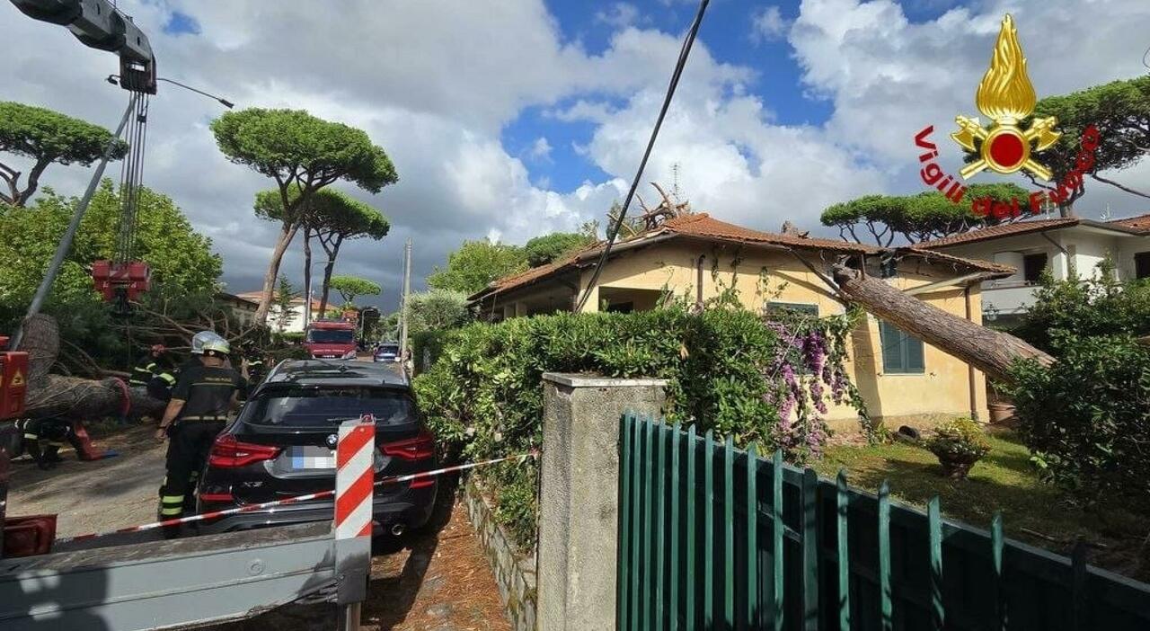 https://statics.cedscdn.it/photos/MED_HIGH/2026/08/25/9724600_25085147_maltempo_allerta_meteo_dove_quando_temporali_grandini_vento_forte_oggi.jpg