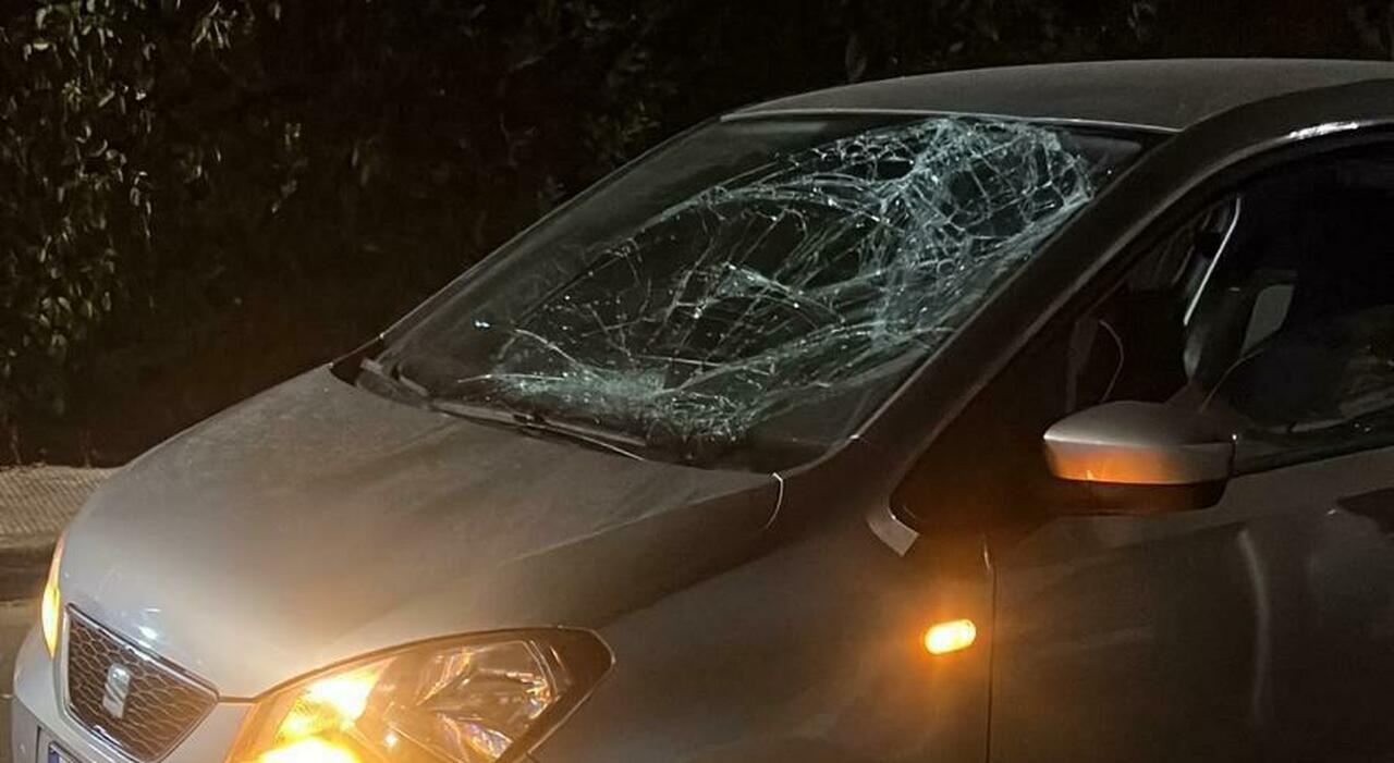 spunta dalla siepe e si lancia contro unauto in corsa paura per madre e figlio da Quotidianodipuglia.it spunta dalla siepe e si lancia contro unauto in corsa paura per madre e figlio